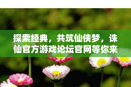 诛仙官方游戏论坛官网等你来图片