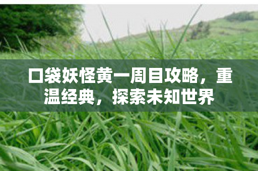 口袋妖怪黄一周目攻略图片