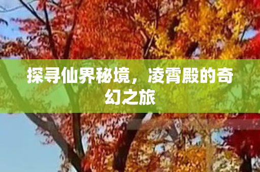 探寻仙界秘境，凌霄殿的奇幻之旅