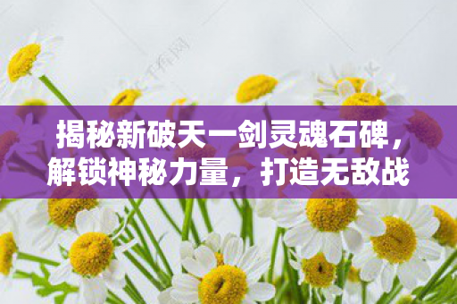 揭秘新破天一剑灵魂石碑图片