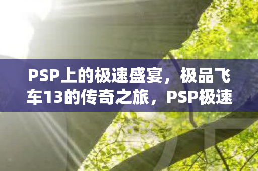 极品飞车13的传奇之旅图片