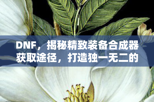 揭秘精致装备合成器获取途径图片