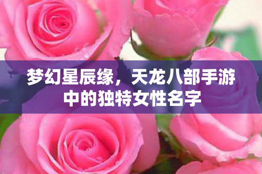 天龙八部手游中的独特女性名字图片