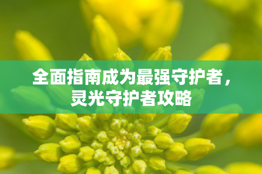 全面指南成为最强守护者图片