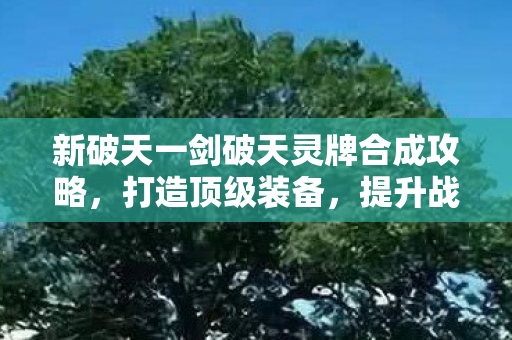 新破天一剑破天灵牌合成攻略图片