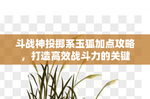 斗战神投掷系玉狐加点攻略图片