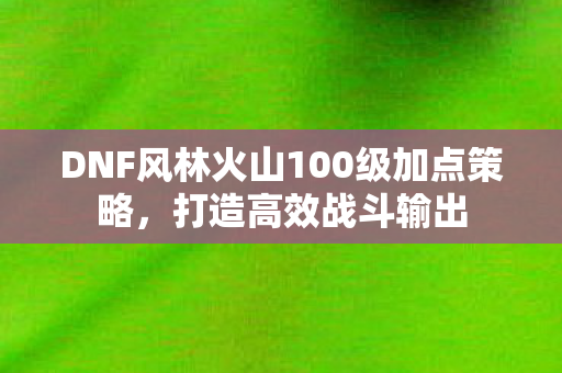 DNF风林火山100级加点策略图片