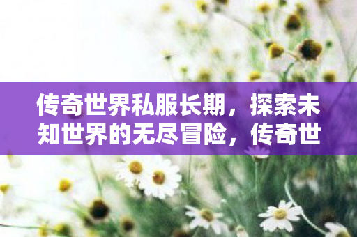 传奇世界私服长期,探索未知世界的无尽冒险,传奇世界私服,开启你的无尽冒险之旅 传奇世界私服长期,探索未知世界的无尽冒险,传奇世界私服,开启你的无尽冒险之旅