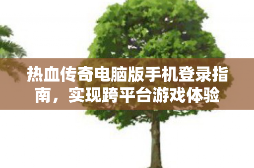 热血传奇电脑版手机登录指南图片