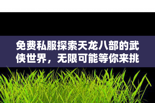 免费私服探索天龙八部的武侠世界图片