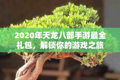 2020年天龙八部手游最全礼包图片