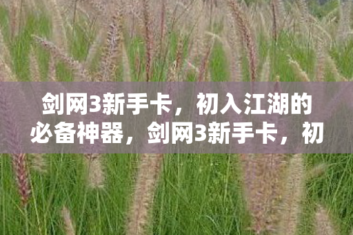 初入江湖的必备神器图片