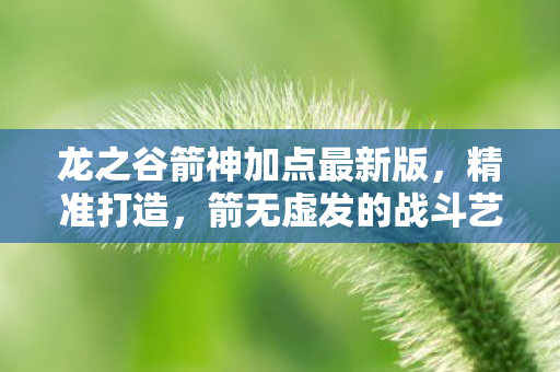 龙之谷箭神加点最新版图片
