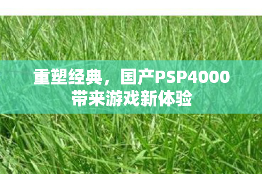 国产PSP4000带来游戏新体验图片
