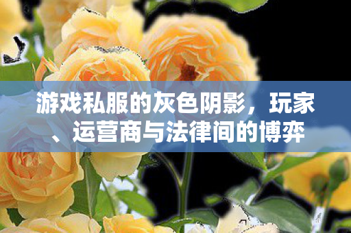 运营商与法律间的博弈图片
