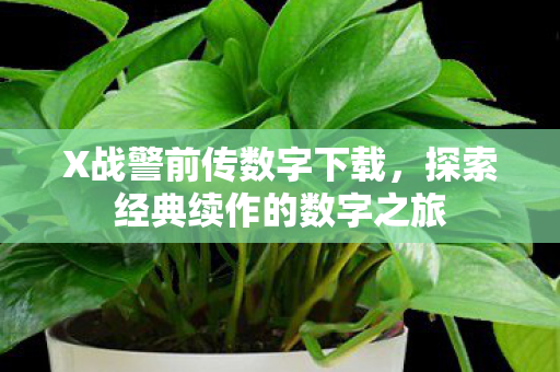 探索经典续作的数字之旅图片