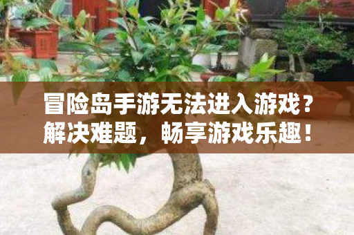 冒险岛手游无法进入游戏图片