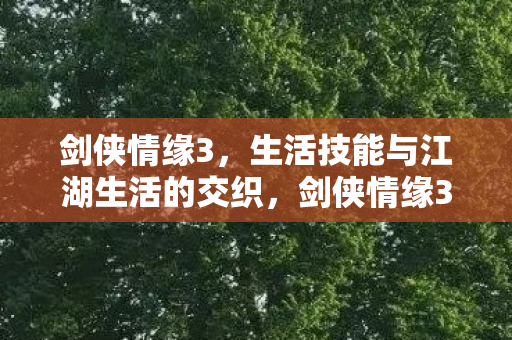 生活技能与江湖生活的完美交织图片