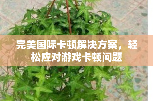 完美国际卡顿解决方案图片