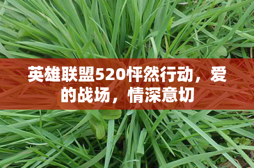英雄联盟520怦然行动图片