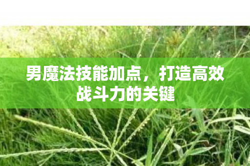 打造高效战斗力的关键图片