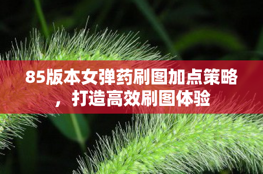 85版本女弹药刷图加点策略图片