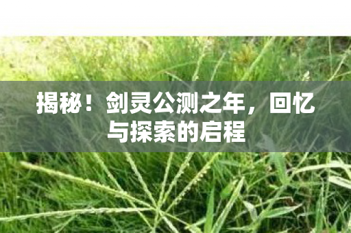 回忆与探索的启程图片