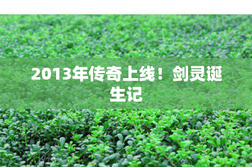 2013年传奇上线图片