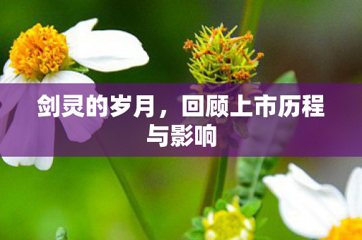 回顾上市历程与影响图片
