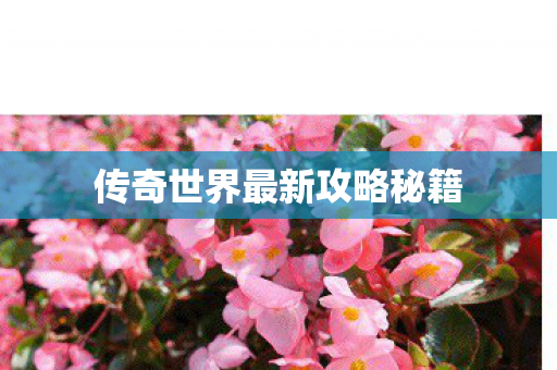 传奇世界最新攻略秘籍图片