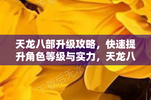 快速提升角色等级与实力图片