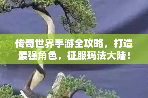 传奇世界手游全攻略图片