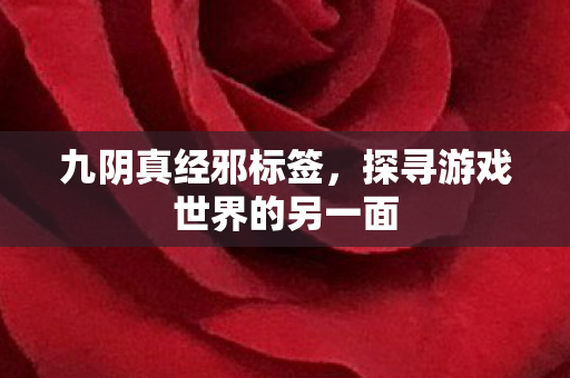 探寻游戏世界的另一面图片
