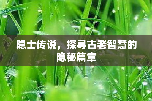 探寻古老智慧的隐秘篇章图片
