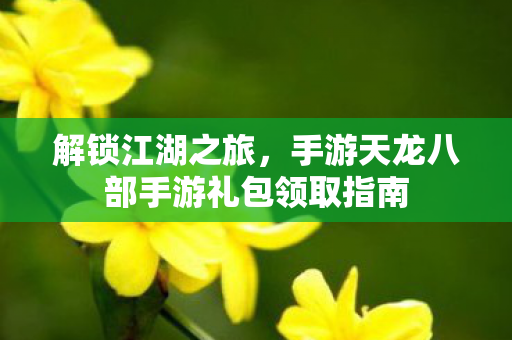 手游天龙八部手游礼包领取指南图片