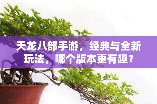 经典与全新玩法图片