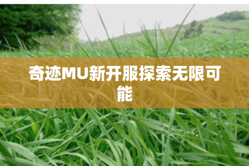 奇迹MU新开服探索无限可能图片