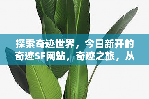 探索奇迹世界,今日新开的奇迹SF网站,奇迹之旅,从这里启程! 探索奇迹世界,今日新开的奇迹SF网站,奇迹之旅,从这里启程!