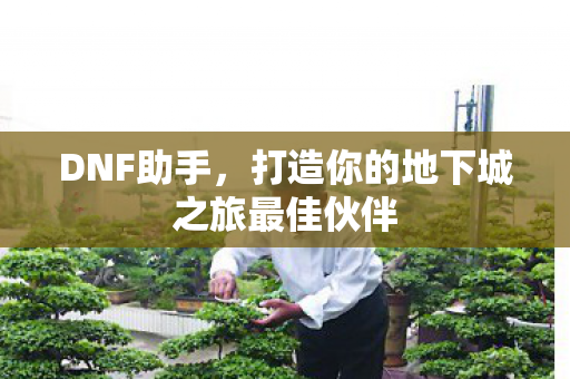 打造你的地下城之旅最佳伙伴图片