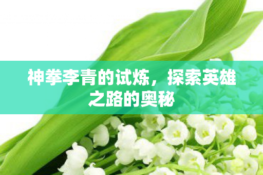 探索英雄之路的奥秘图片