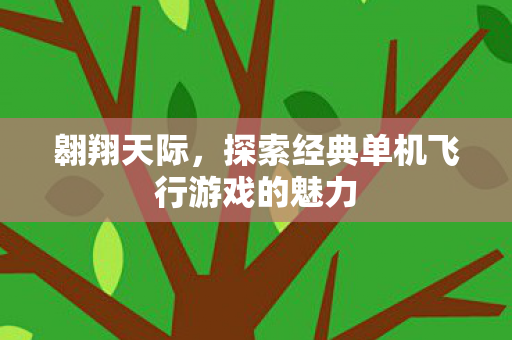 探索经典单机飞行游戏的魅力图片