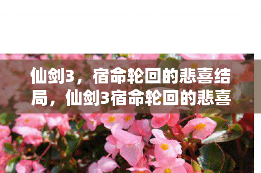 仙剑3,宿命轮回的悲喜结局,仙剑3宿命轮回的悲喜结局,命运的交织与终结 仙剑3,宿命轮回的悲喜结局,仙剑3宿命轮回的悲喜结局,命运的交织与终结