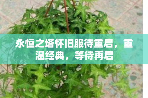 永恒之塔怀旧服待重启图片