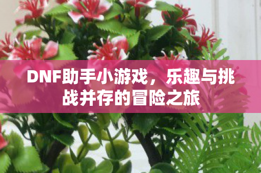 乐趣与挑战并存的冒险之旅图片