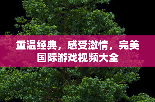 完美国际游戏视频大全图片
