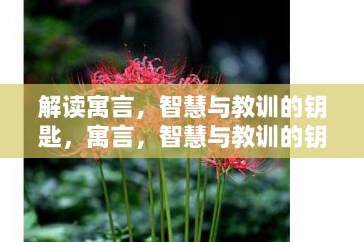 解读寓言,智慧与教训的钥匙,寓言,智慧与教训的钥匙 解读寓言,智慧与教训的钥匙,寓言,智慧与教训的钥匙