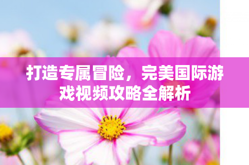 完美国际游戏视频攻略全解析图片