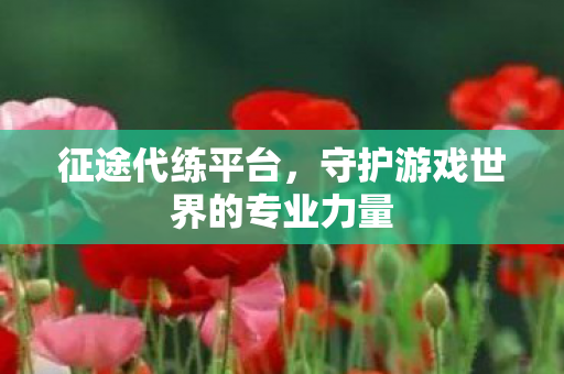 守护游戏世界的专业力量图片