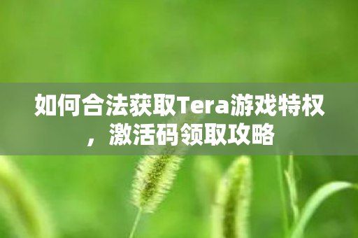 如何合法获取Tera游戏特权图片