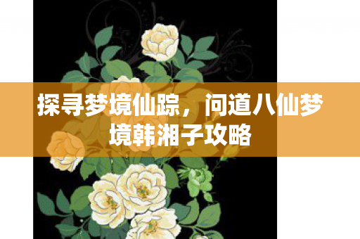 问道八仙梦境韩湘子攻略图片